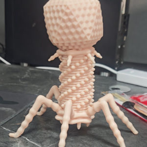 Pre-order | LingMo studio - Bacteriophage Soft Model
